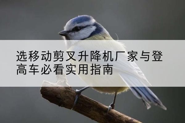 宿州电动升降机厂家-选移动剪叉升降机厂家与登高车必看实用指南