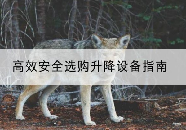 宿州升降货梯厂家推荐-*安全选购升降设备指南